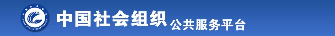 九幺视频污污污app全国社会组织信息查询